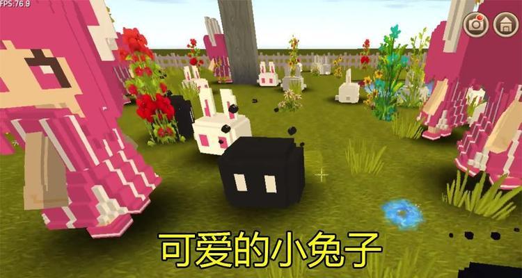追寻幸运（一场奇幻之旅以及最好的游戏攻略）