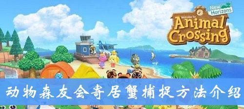 《动物森友会》海洋生物捕捉指南（掌握技巧）