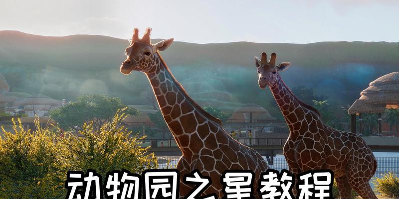 掌握动物园帝国秘籍，成为游戏高手（实用组合键让你快速提升游戏实力）