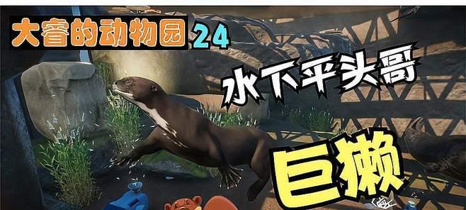《动物园之星》开园攻略（开园前需注意事项）