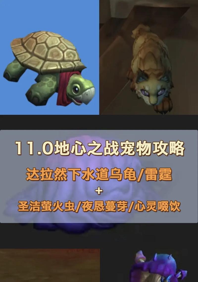 欧服魔兽世界中乌龟宠物如何获得？获得后有何用途？