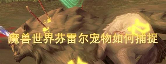 魔兽世界小宠物捕捉技巧有哪些？