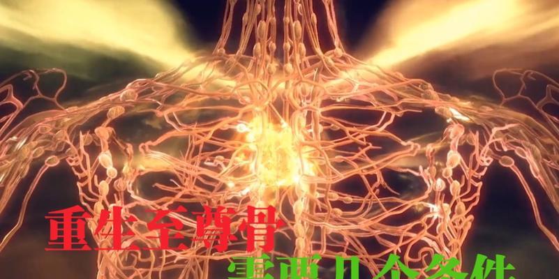 完美世界至尊幻化功能是什么？如何正确使用？