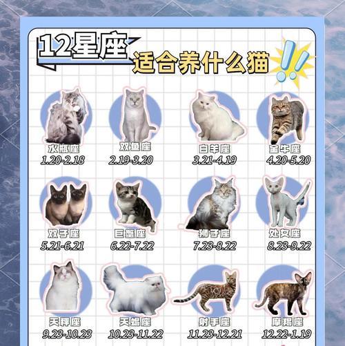 完美猫配置方法是什么？如何达到完美？