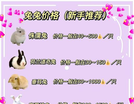 兔子购买数量及原因是什么？