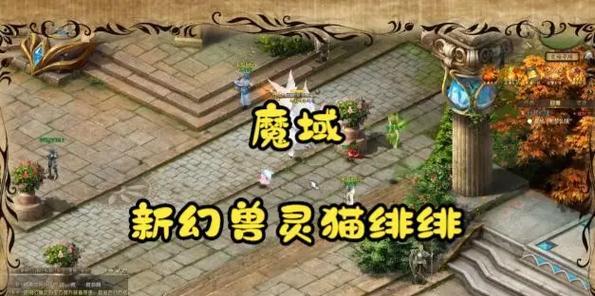 魔域灵猫技能选择有什么技巧？
